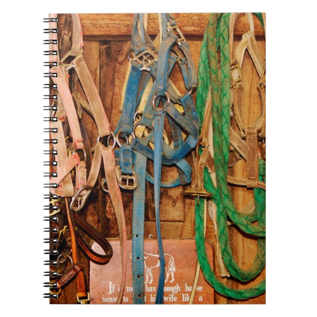 Colorful Bridleshorse,tack,animals,barn,blue,bridl Notebook (Front)