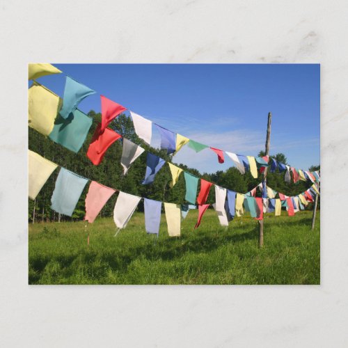 Colorful Buddhist Prayer Flags Photo Postcard