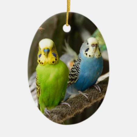 Colorful Budgie Bird Ceramic Ornament
