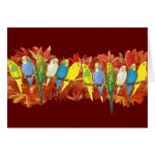 Colorful budgies pattern (Front Horizontal)