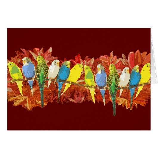 Colorful budgies pattern cards (Front Horizontal)