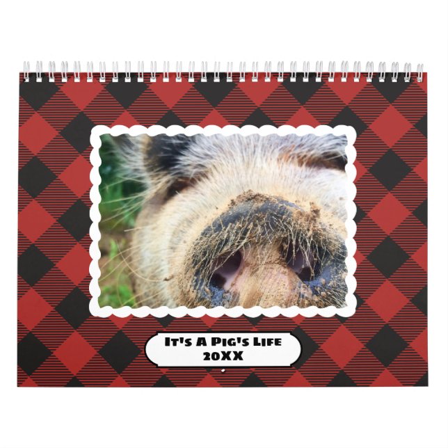 Colorful Buffalo Plaids Photo Calendar (Cover)