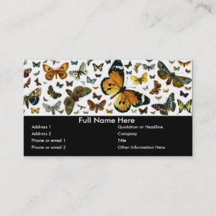 Colorful Butterflies Antiquarian Image Bookmark Business Card