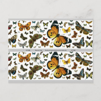 Colorful Butterflies Antiquarian Image Bookmark Postcard
