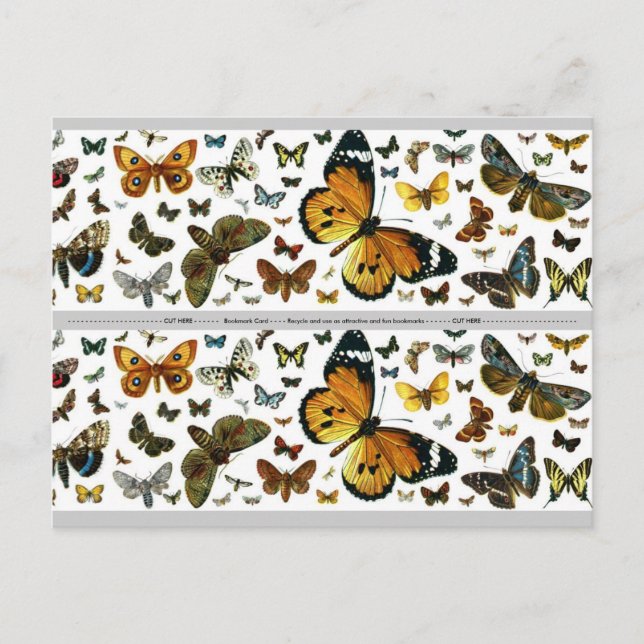 Colorful Butterflies Antiquarian Image Bookmark Postcard (Front)