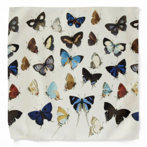 COLORFUL BUTTERFLIES Beauty Nature Lover Bandana