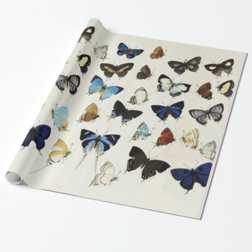 COLORFUL BUTTERFLIES Beauty Nature Lover Wrapping Paper