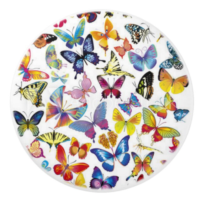 Colorful Butterflies Ceramic Knob (Front)