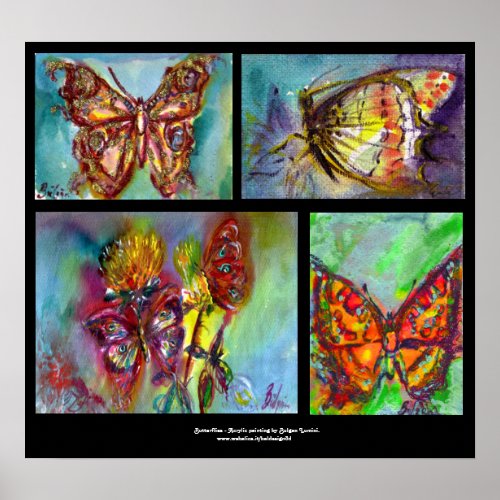 COLORFUL BUTTERFLIES  COLLECTION POSTER