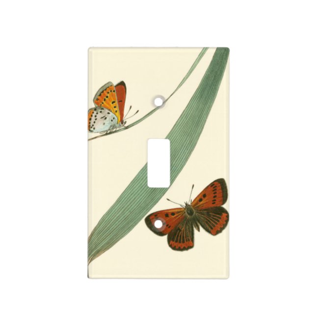 Colorful Butterflies Fluttering Around a Leaf Light Switch Cover (Front)
