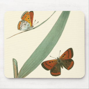 Colorful Butterflies Fluttering Around a Leaf Mouse Pad