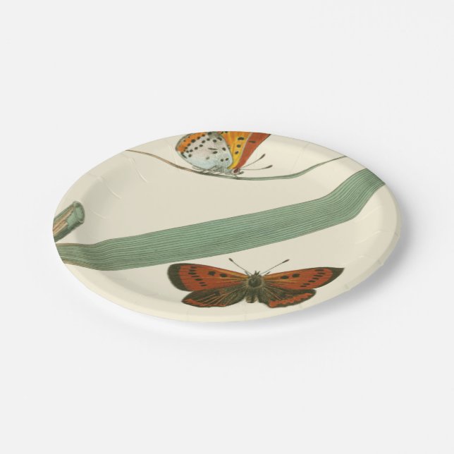 Colorful Butterflies Fluttering Around a Leaf Paper Plates (Angled)