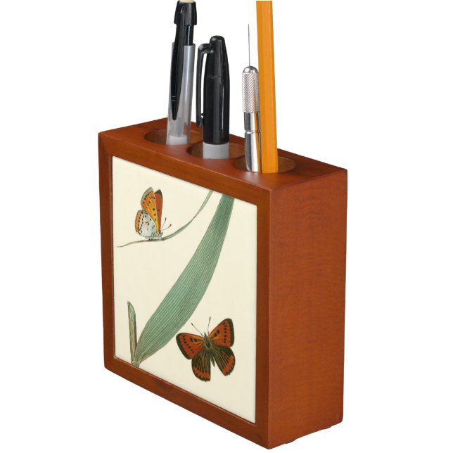 Colorful Butterflies Fluttering Around a Leaf Pencil Holder (In Situ)