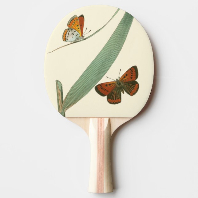 Colorful Butterflies Fluttering Around a Leaf Ping-Pong Paddle (Front)