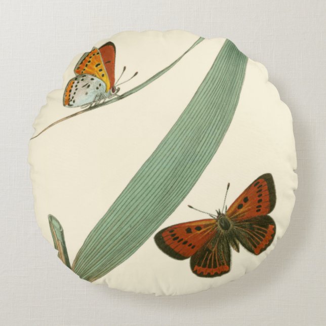 Colorful Butterflies Fluttering Around a Leaf Round Pillow (Front)
