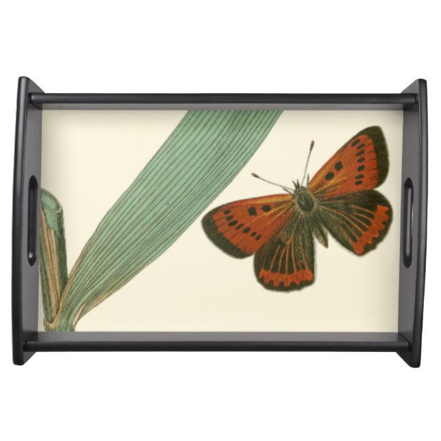 Colorful Butterflies Fluttering Around a Leaf Serving Tray (Front)