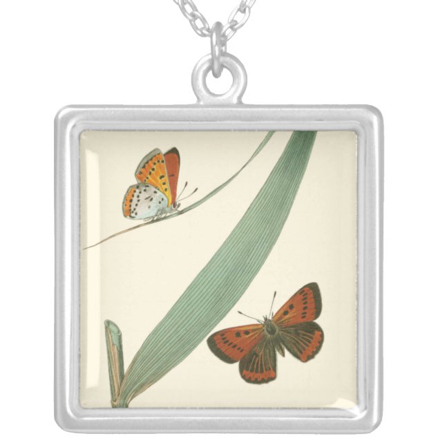 Colorful Butterflies Fluttering Around a Leaf Silver Plated Necklace (Front)