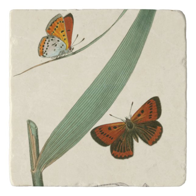 Colorful Butterflies Fluttering Around a Leaf Trivet (Front)