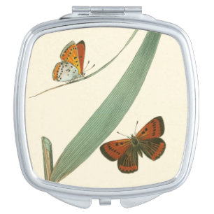 Colorful Butterflies Fluttering Around a Leaf Vanity Mirror