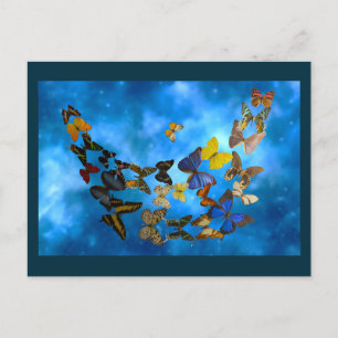 Colorful Butterflies Flying over Blue Clouds Postcard