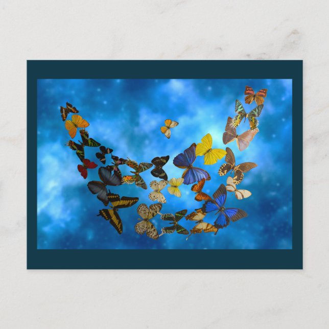 Colorful Butterflies Flying over Blue Clouds Postcard (Front)
