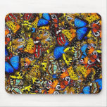 Colorful Butterflies Mouse Pad
