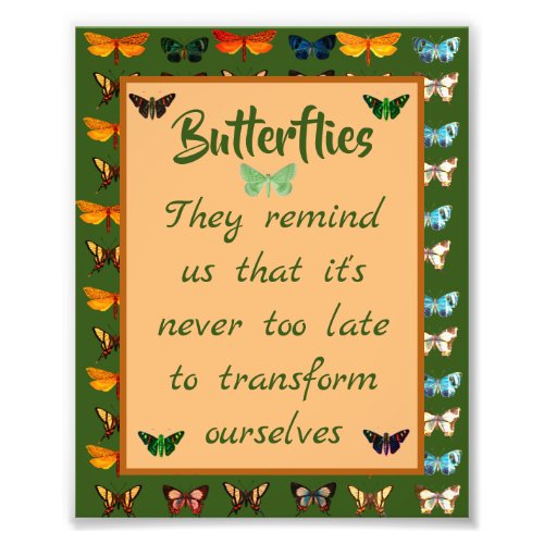 Colorful Butterflies Photo Print