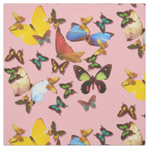 Colorful Butterflies Pink Background Print Pattern Fabric