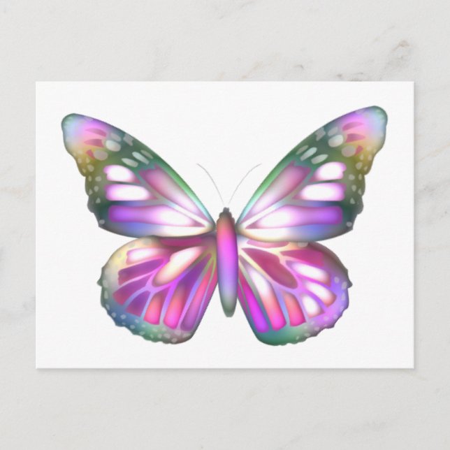 Colorful Butterflies Postcard (Front)