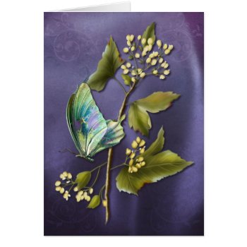 Colorful Butterfly by RainbowCards at Zazzle
