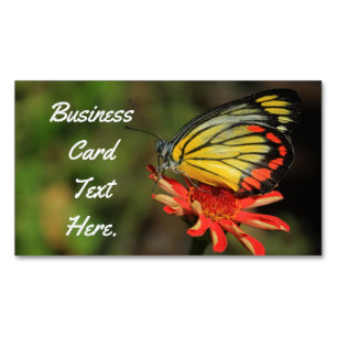 Colorful Butterfly Business Card Magnet