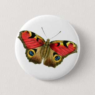 Colorful butterfly button