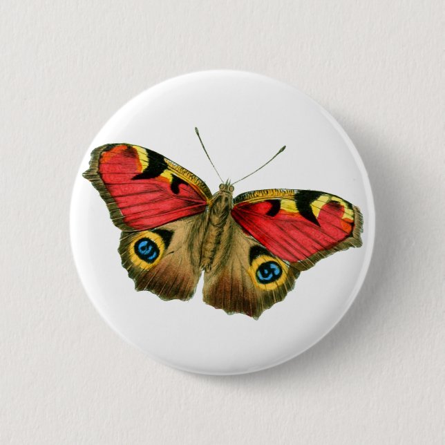 Colorful butterfly button (Front)