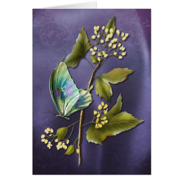 Colorful Butterfly Cards (Front)