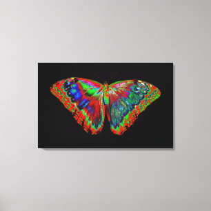 Colorful Butterfly design against black backdrop Canvas Print