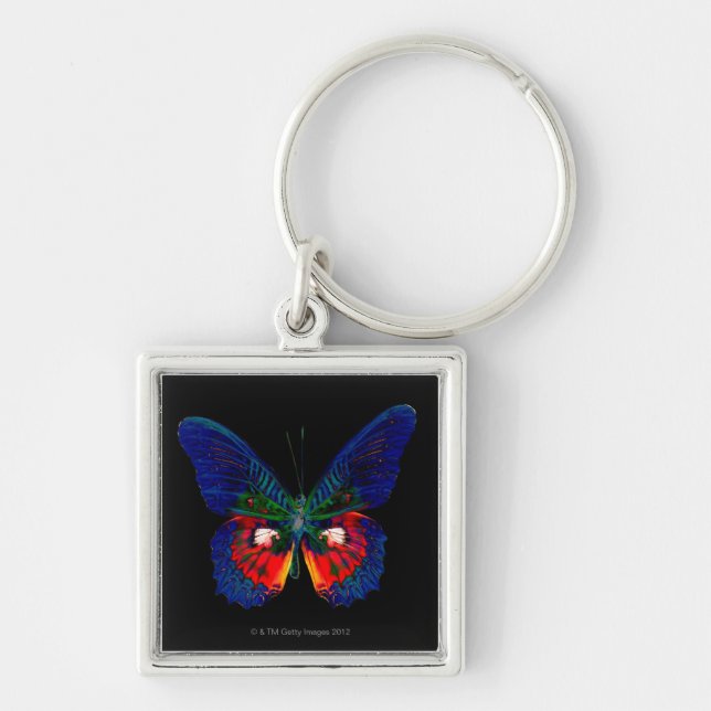 Colorful Butterfly design against black backdrop Keychain (Front)