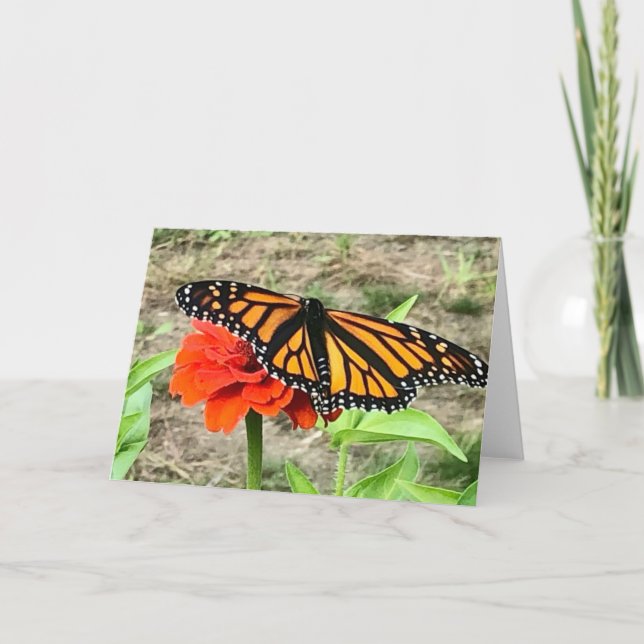 Colorful Butterfly Greeting  Card (Front)