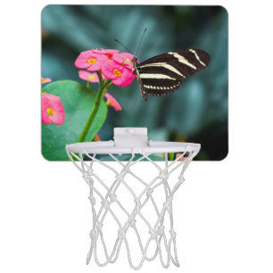 colorful butterfly in the garden mini basketball hoop