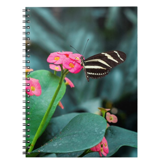 colorful butterfly in the garden notebook (Front)