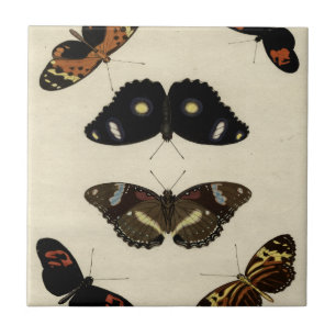 Colorful Butterfly Medley on Cream Background Ceramic Tile