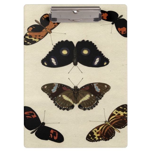 Colorful Butterfly Medley on Cream Background Clipboard (Front)