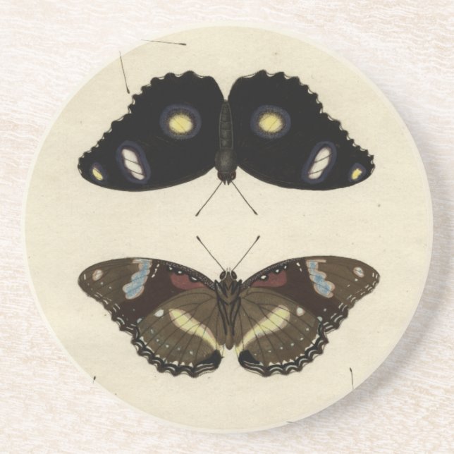 Colorful Butterfly Medley on Cream Background Coaster (Front)