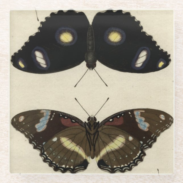 Colorful Butterfly Medley on Cream Background Glass Coaster (Front)
