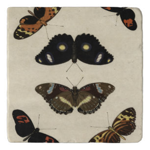 Colorful Butterfly Medley on Cream Background Trivet