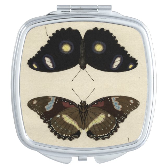 Colorful Butterfly Medley on Cream Background Vanity Mirror (Front)