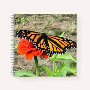 Colorful Butterfly Notebook