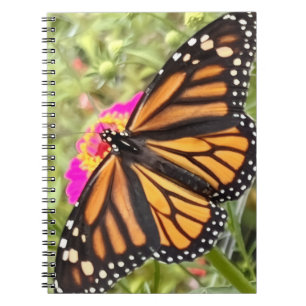 Colorful Butterfly Notebook