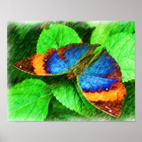 Colorful Butterfly Pencil Art Nature Poster