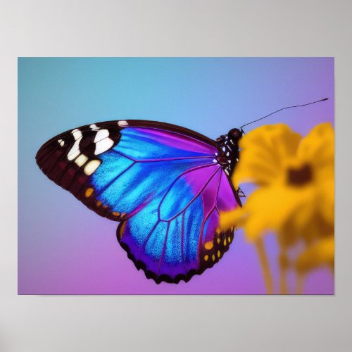 Colorful butterfly poster