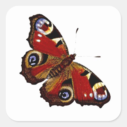 Colorful Butterfly Square Sticker